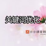 SEO网站关键词优化