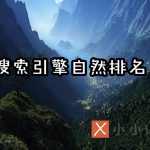 搜索引擎自然排名