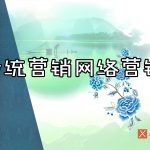 网络营销与传统营销
