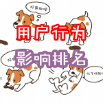 SEO观察