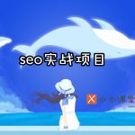 速贝seo实战培训