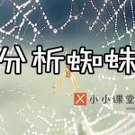 百度seo教程