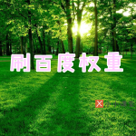 刷百度权重