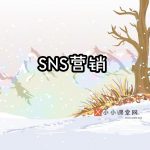 sns营销
