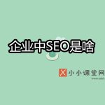 企业中seo是啥