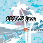 seo和java哪个更好