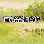 百度关键词分析