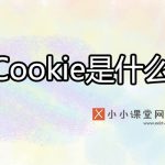 cookie是什么意思