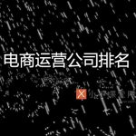 电商运营公司排名