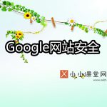 Google对网站安全问题的建议