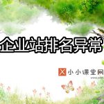 企业站排名异常