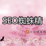 seo蜘蛛精