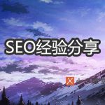 SEO经验分享