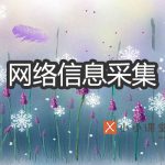 信息采集