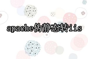 apache伪静态转为iis伪静态