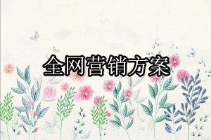 全网营销策划方案