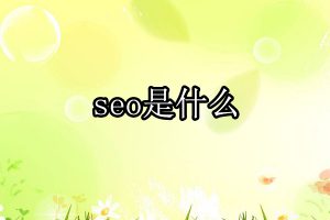 seo是什么意思