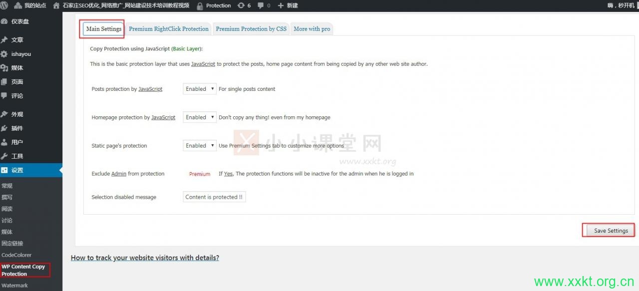 WP Content Copy Protection>进入设置界面