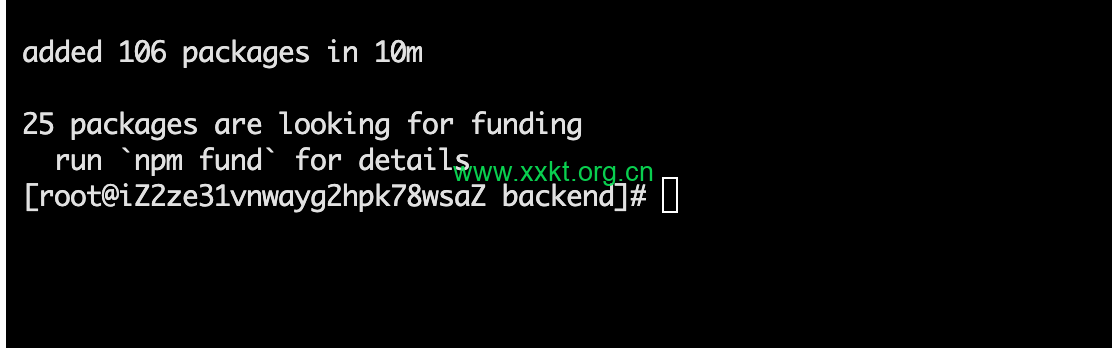 安装npm